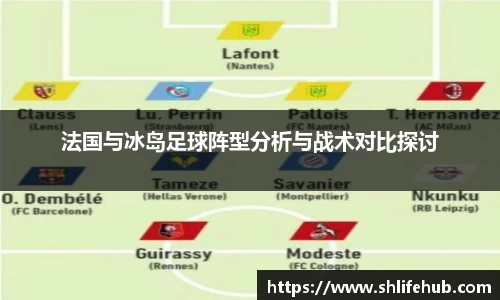 法国与冰岛足球阵型分析与战术对比探讨