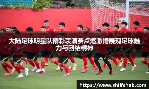 大陆足球明星队精彩表演赛点燃激情展现足球魅力与团结精神